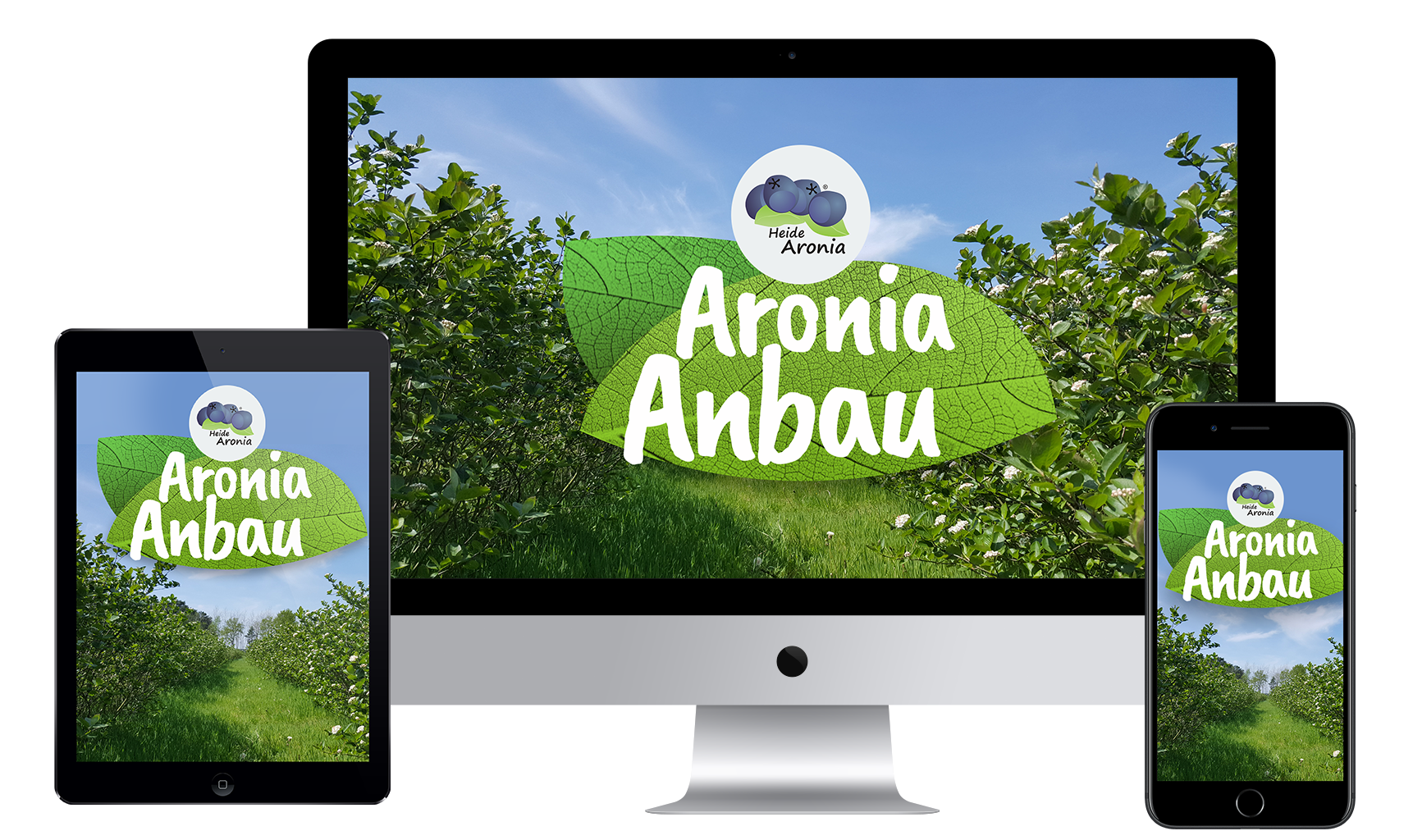 aroniaanbau